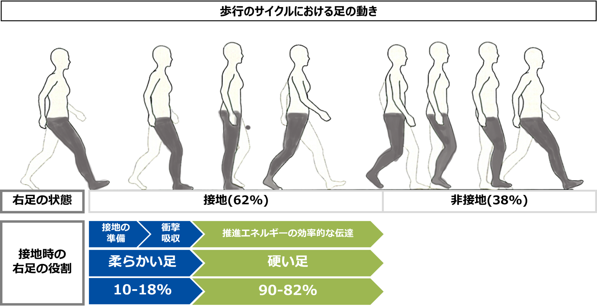 踏み出しに影響する関節第1MP関節 ashinavi